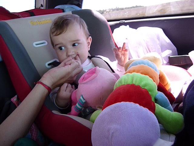 fotos/2011 - Los Reartes/P1010891.JPG